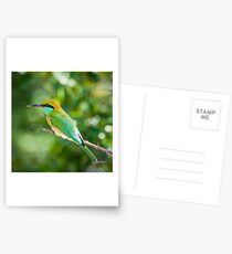 Green Bee-eater Postcards