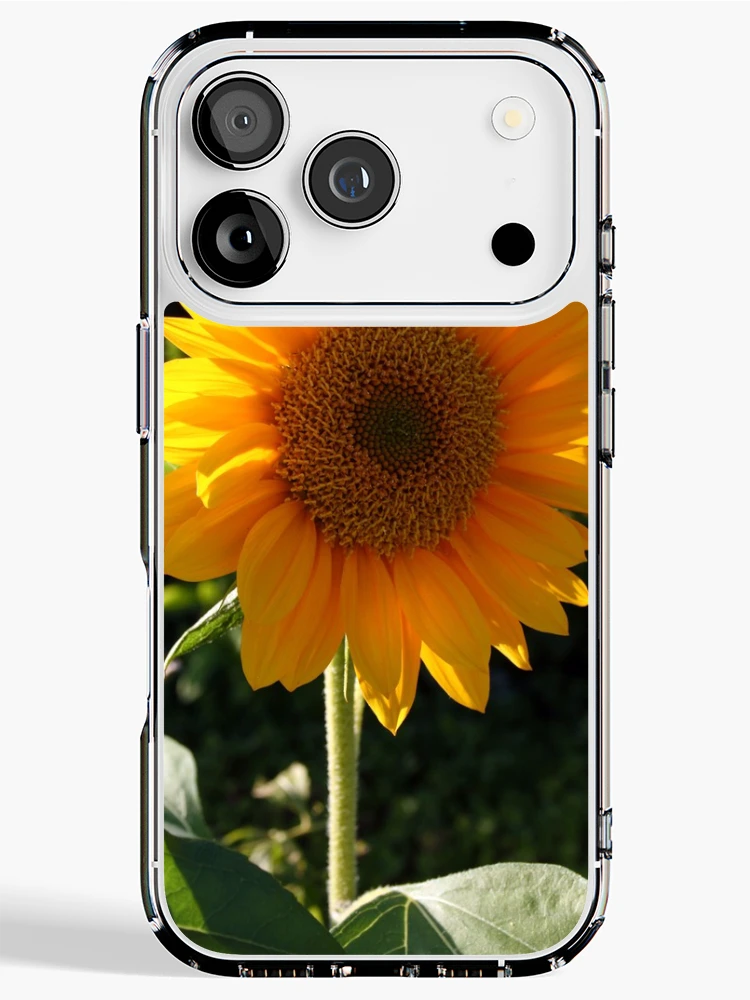 Thumbnail 1 of 5, iPhone Case, Sunflower designed and sold by Roddy Anderson.