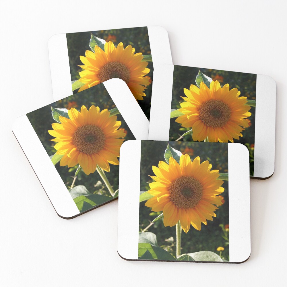 Item preview, Coasters (Set of 4) designed and sold by Roddy.