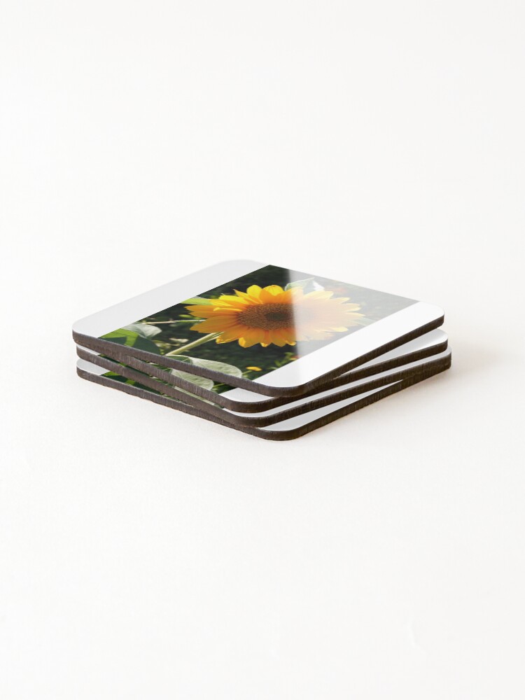 Thumbnail 4 of 5, Coasters (Set of 4), Sunflower designed and sold by Roddy.