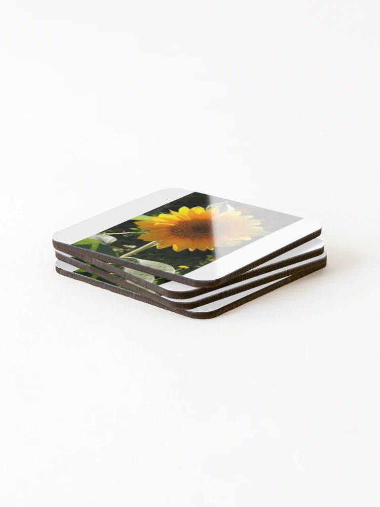 Thumbnail 4 of 5, Coasters (Set of 4), Sunflower designed and sold by Roddy Anderson.