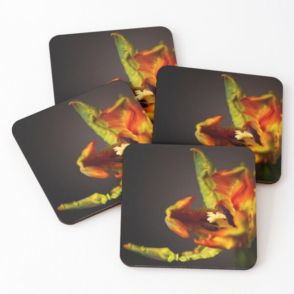Item preview, Parrot Tulip designed and sold by Kasia Design.