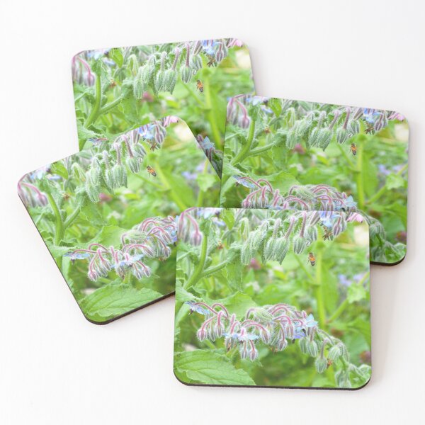 Item preview, Bee and Borage designed and sold by Nature's Reflections.