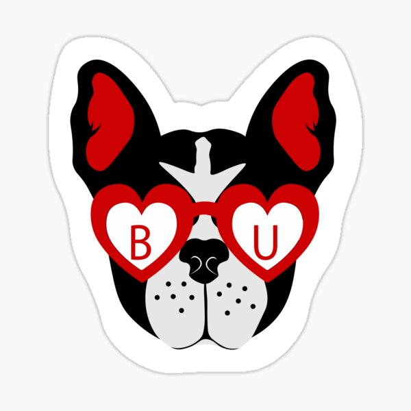 Boston University Terrier