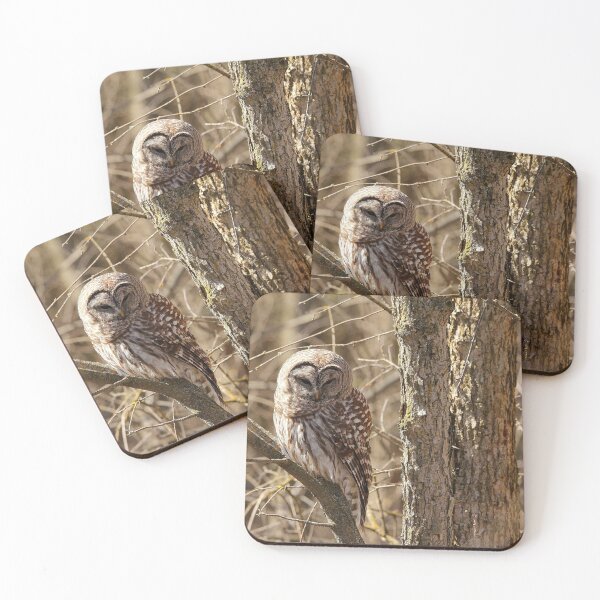 Item preview, Barred Owl designed and sold by BRENDA DOHERTY.