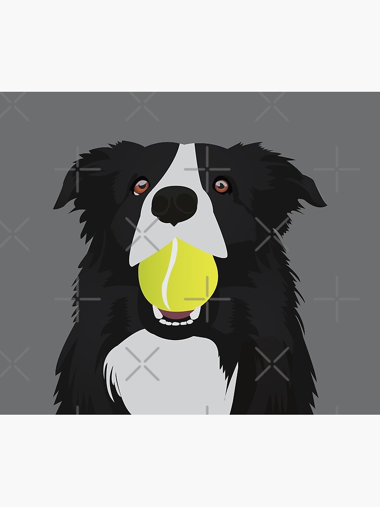 Border Collie with a Tennis Ball by KCPetPortraits