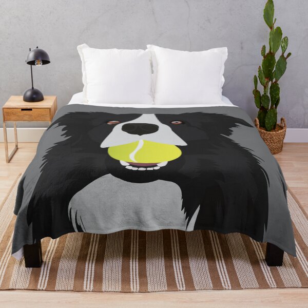 Border Collie avec une balle de tennis Plaid