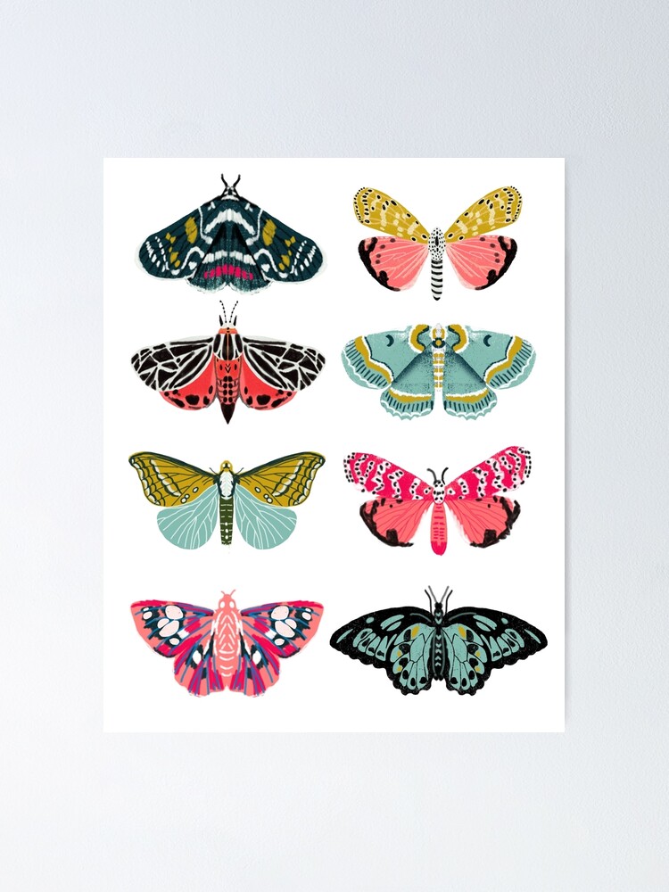 Moth Stickers - Three Pack