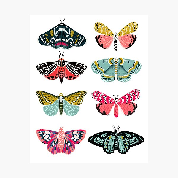 Moth Sticker Pack of 3 — Yvette Lab Fine Art Studios