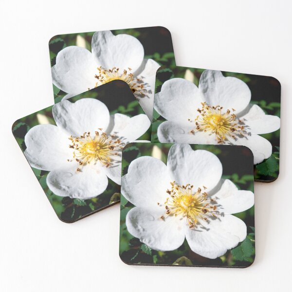 Item preview, Burnet rose flower designed and sold by troianifabrizio.