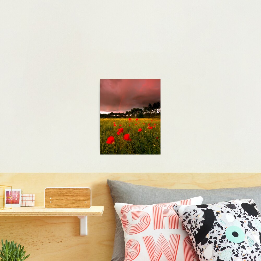 Cross Country Photographic Print