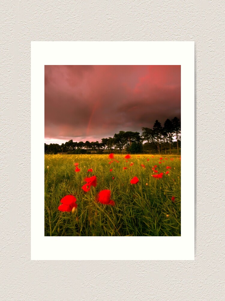 Alternate view of Cross Country Art Print