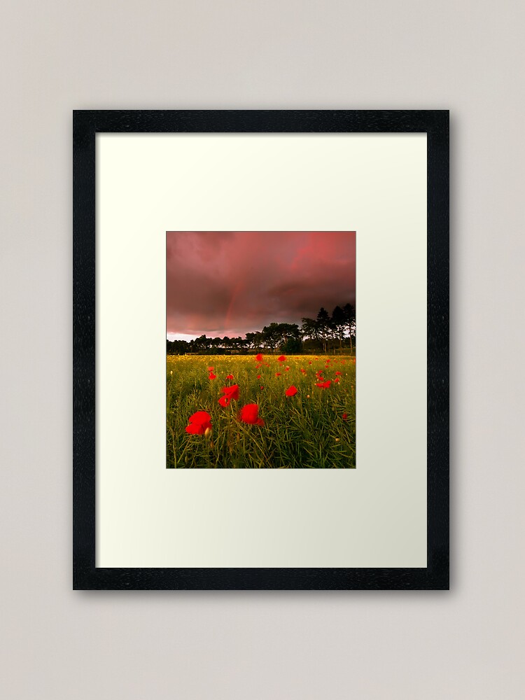 Alternate view of Cross Country Framed Art Print