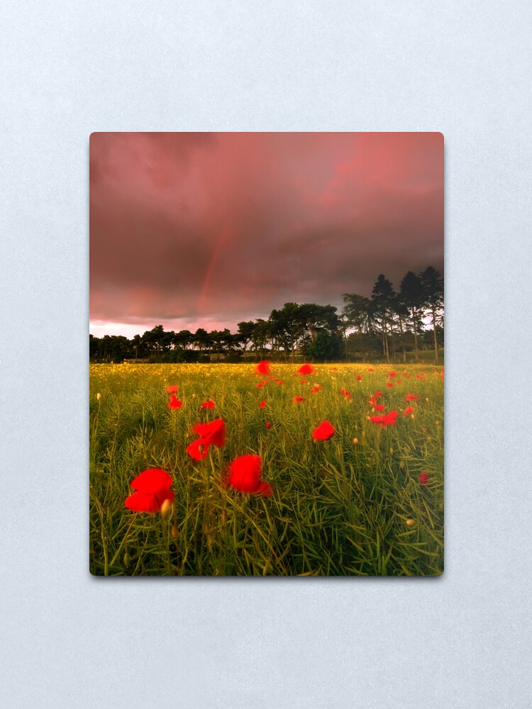 Alternate view of Cross Country Metal Print