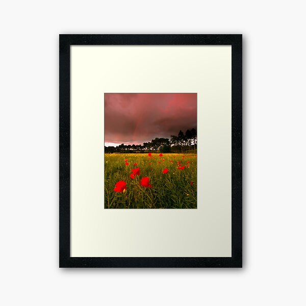 Cross Country Framed Art Print