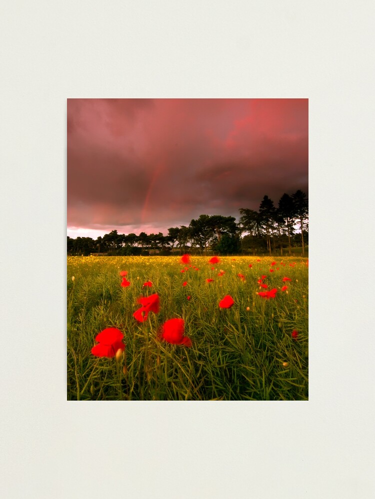 Alternate view of Cross Country Photographic Print