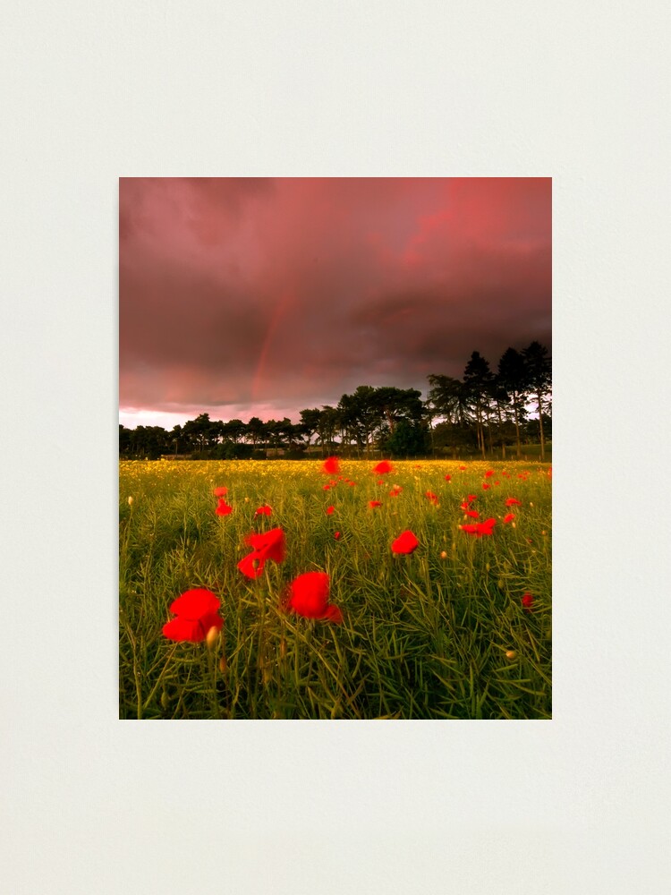 Alternate view of Cross Country Photographic Print