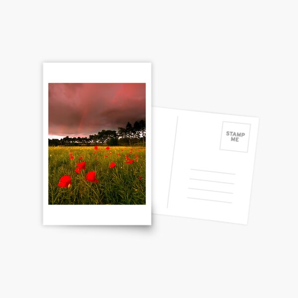 Cross Country Postcard