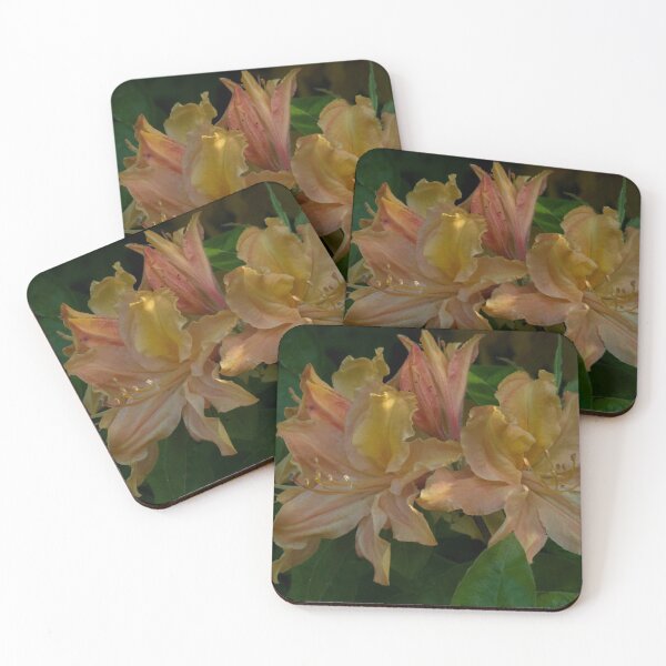 Item preview, Gold and Pink Hued Rhododendrons designed and sold by Gerda Grice Photography.