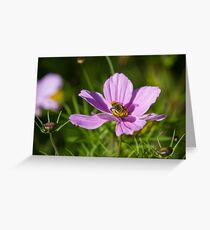 Nectar Greeting Card