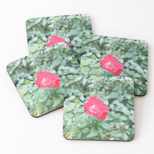 Item preview, Year round spring designed and sold by AncientDreamer.