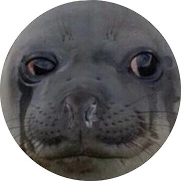 Seal Crying Meme