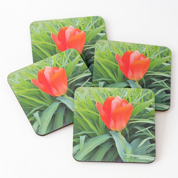 Item preview, In bloom designed and sold by Sascha Richartz.