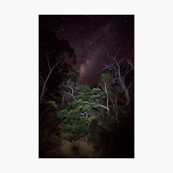 Item preview, Randalls Bay at Night designed and sold by Chris Cobern.