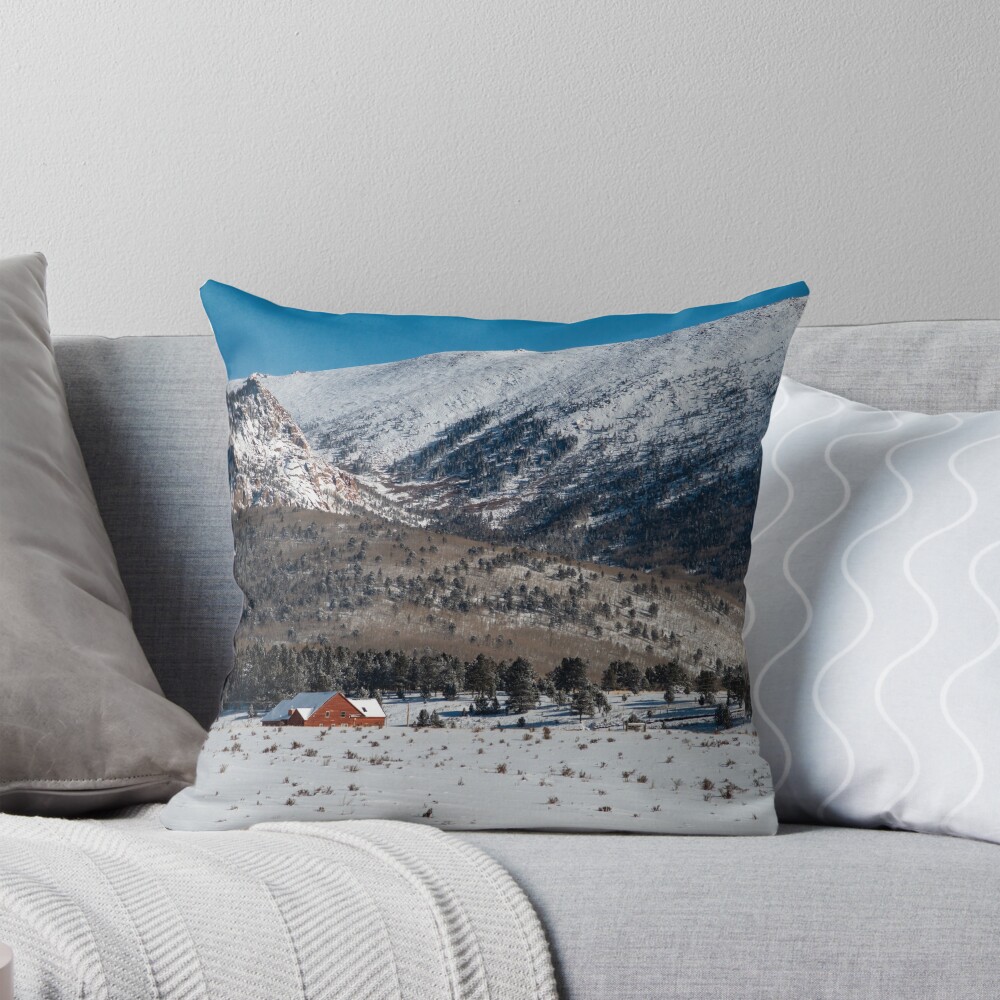 Item preview, Throw Pillow designed and sold by dannykey.