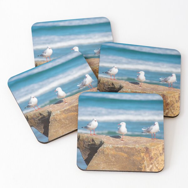 Item preview, Three Seagulls on a Rock designed and sold by ModernDigitalAU.