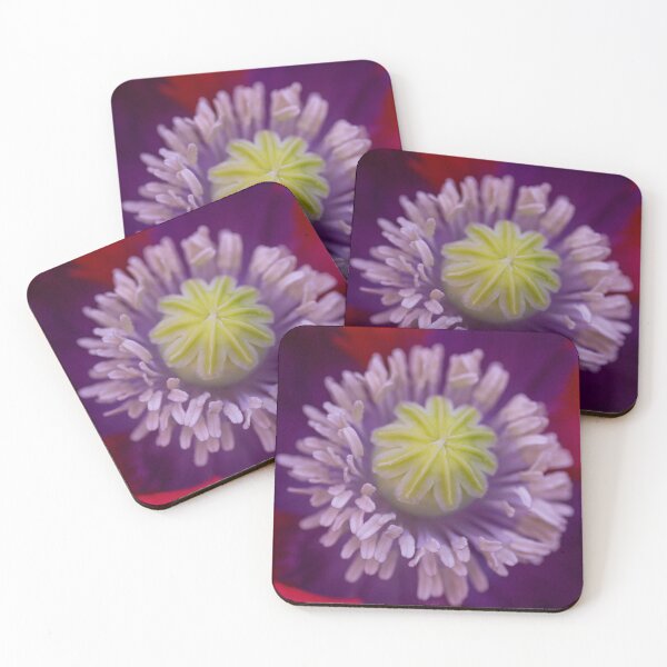 Item preview, Vibrant Life designed and sold by soulestial.