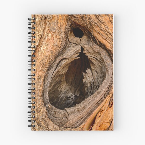 Item preview, Tree Hollow designed and sold by Werner Padarin.
