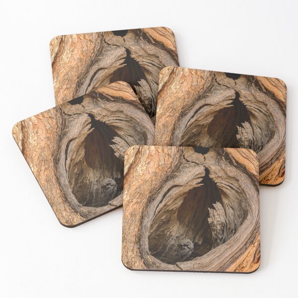 Item preview, Tree Hollow designed and sold by Werner Padarin.