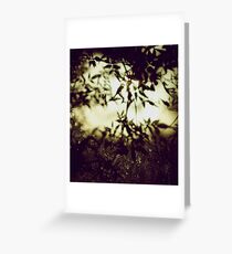 Impermanence Greeting Card