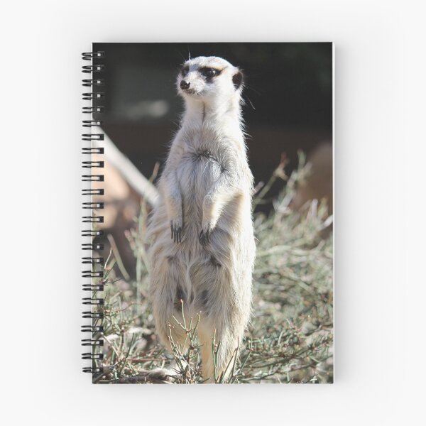 Item preview, Meerkat  designed and sold by Linda Sijpkes.