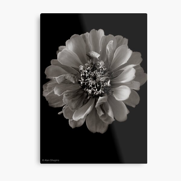 Item preview, Symmetry is overrated designed and sold by alan shapiro.