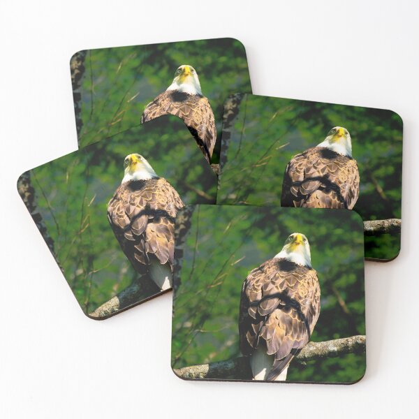Item preview, Bad Eagle looking backwards designed and sold by DVart-nz.