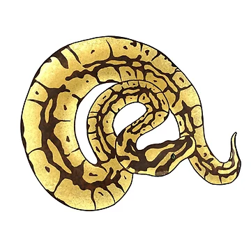 Artwork thumbnail, Ball Python by InkKat