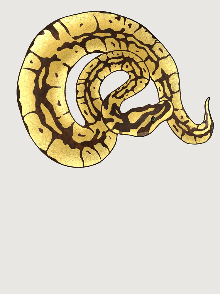 Thumbnail 6 of 6, Premium Oversized Hoodie, Ball Python designed and sold by InkKat.