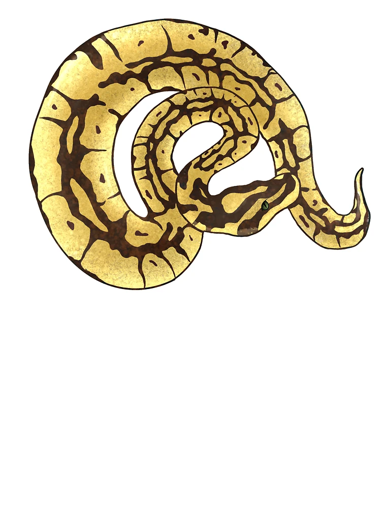 Thumbnail 4 of 4, Boxy T-Shirt, Ball Python designed and sold by InkKat.