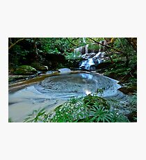 Somersby.25-6-11. Photographic Print