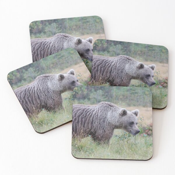 Item preview, Wild Brown Bear, Europe designed and sold by AmyPhotographer.