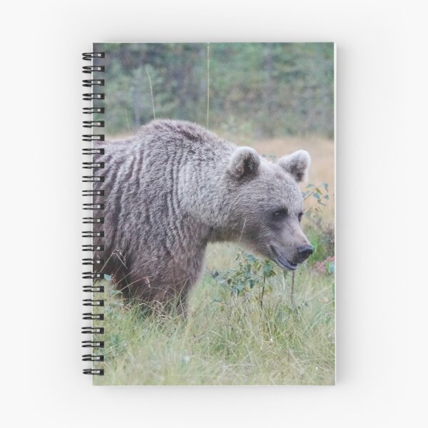 Item preview, Wild Brown Bear, Europe designed and sold by AmyPhotographer.