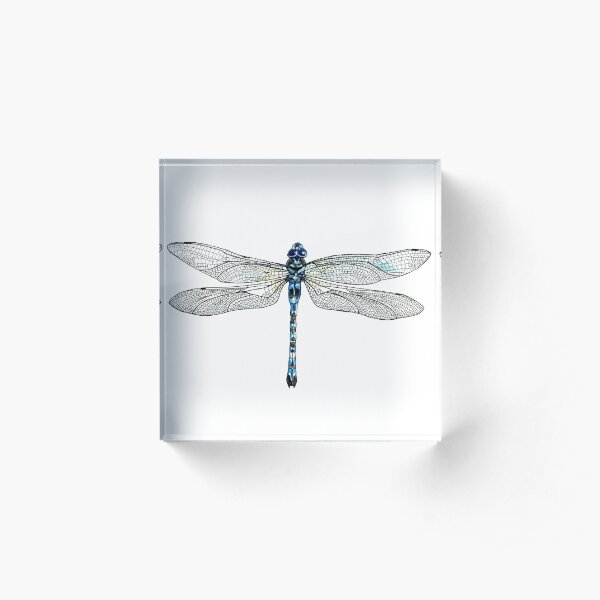 Dragonfly Acrylic Block