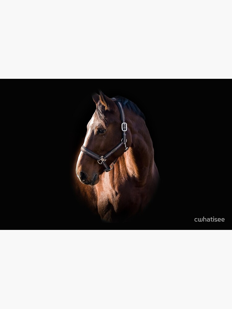 Aperçu 2 sur 2. Housse d'ordinateur avec l'œuvre La photographie de portrait de cheval brun créée et vendue par cwhatisee.