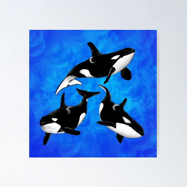 Artikel-Vorschau von 3 Orcas im Blauen, designt und verkauft von Doris Thomas.