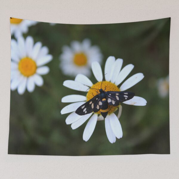 Item preview, Daisies with a butterfly motive design designed and sold by Pikmi.