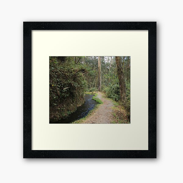 Item preview, Forest Path designed and sold by rhamm.