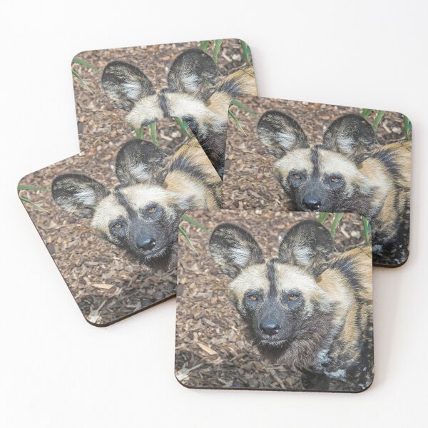 Item preview, African Wild Dog designed and sold by DonMc.