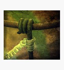 In Perfect Imitation Photographic Print